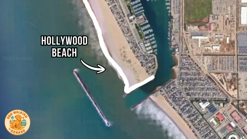 Hollywood Beach - Dog Walking Oxnard