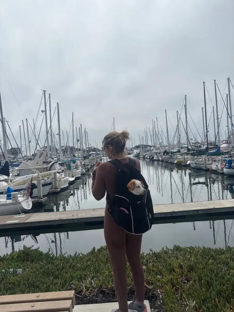 dog walking services oxnard ca